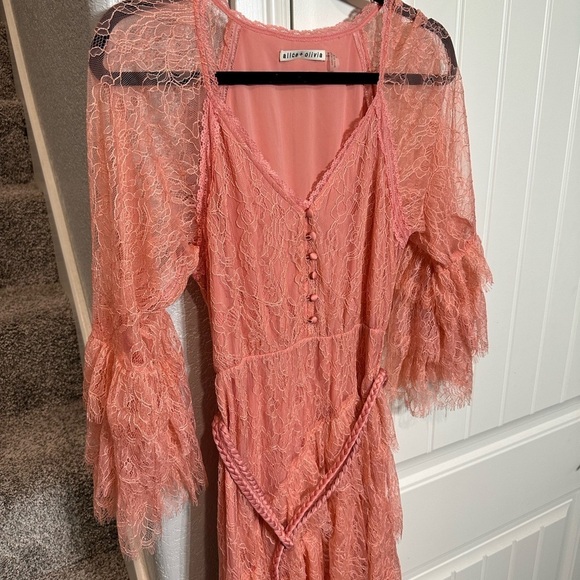 Alice and Olivia pink lace ruffle dress - Picture 13 of 13